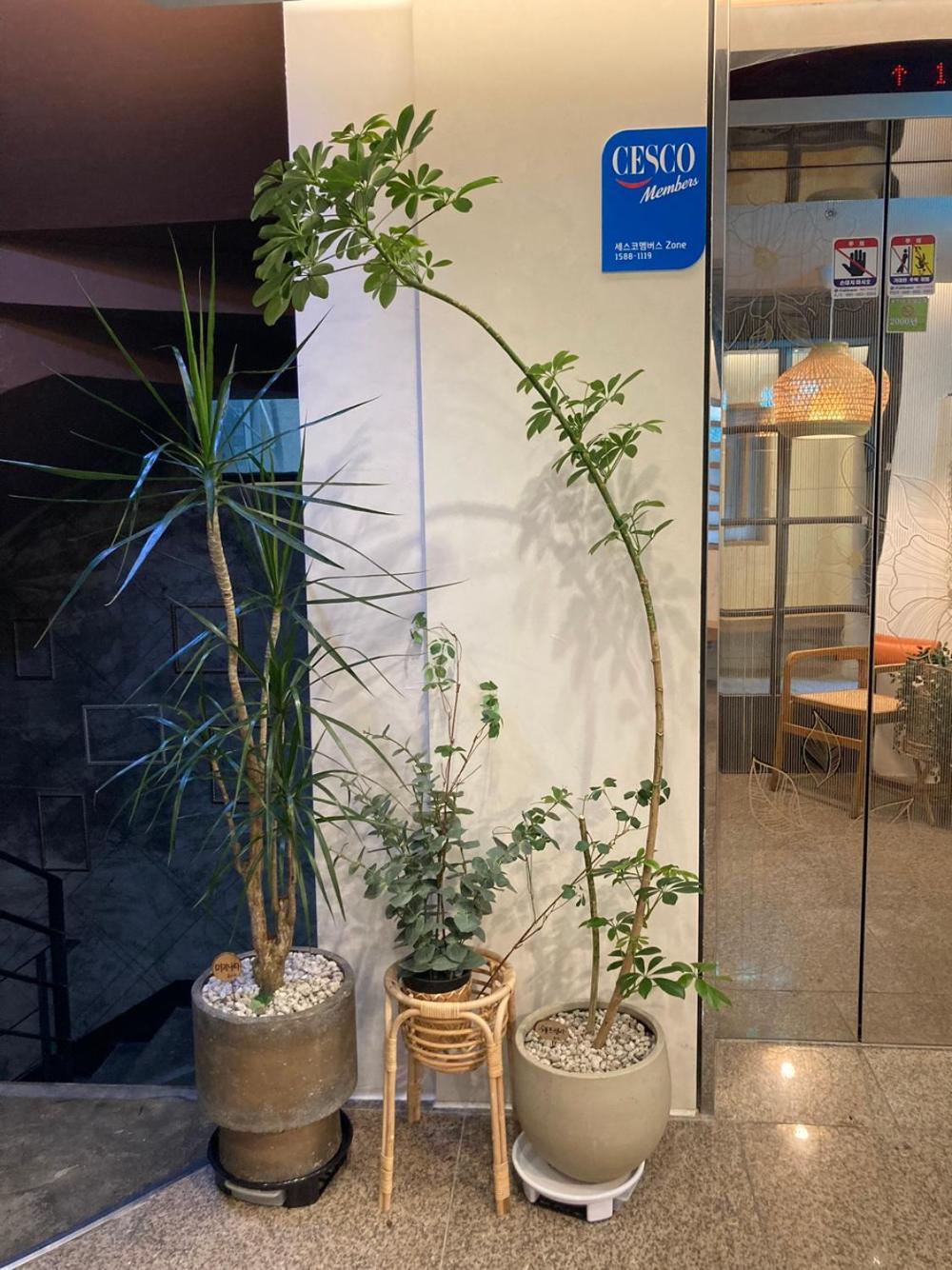 Hotel Less Σεούλ Εξωτερικό φωτογραφία